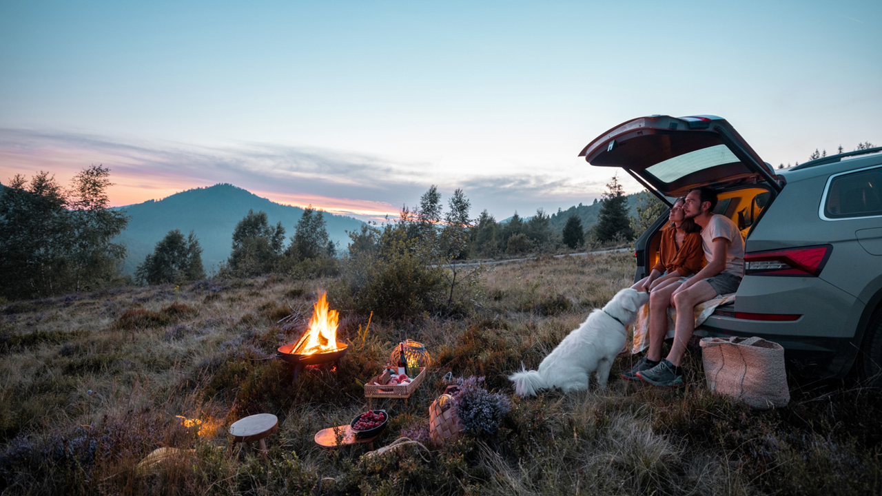 The car: A never-ending love story